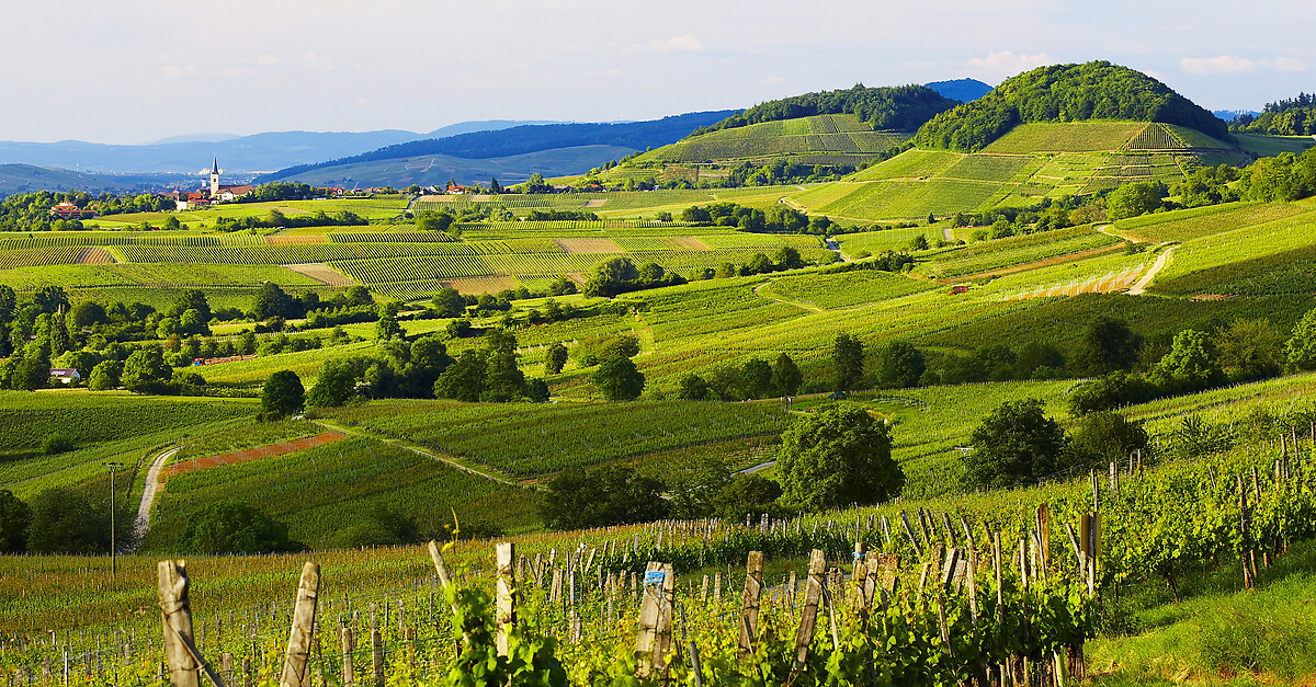 BERGFEX BallrechtenDottingen Holiday BallrechtenDottingen Travel