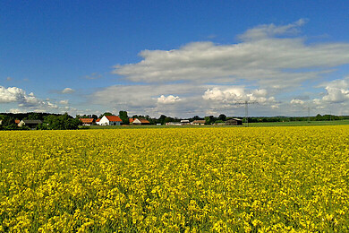 Arnsdorf