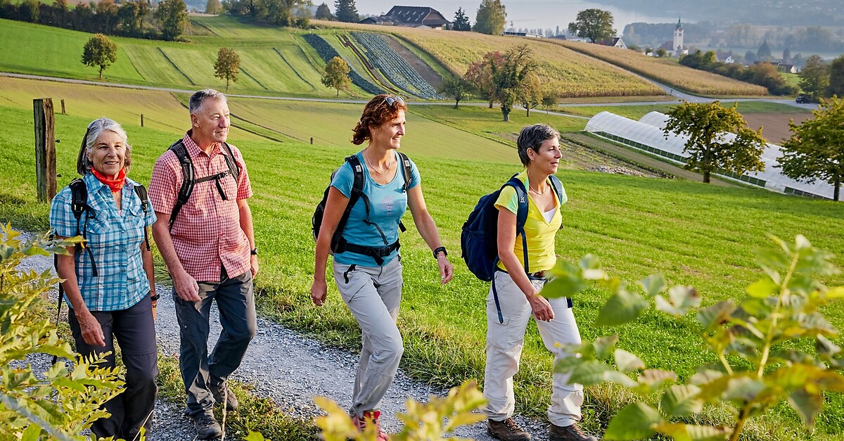 Wanderung Mit Weitsicht - BERGFEX - Wanderung - Tour Luzern ...