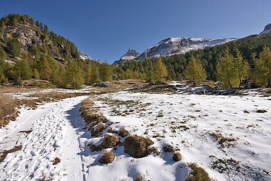 San Domenico / Varzo