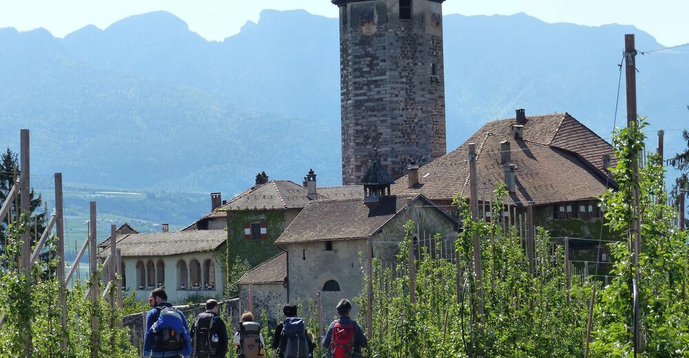 Jacopeo d'Anaunia Path – V stage - BERGFEX - Pilgrimage - Tour Trento