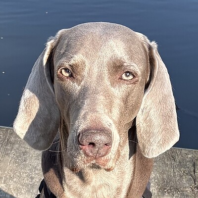 Avatar von FLOH