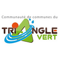 Logo Triangle Vert