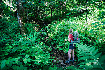 Vielfalt. Viel Wald. Viel Herz.