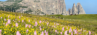 Seiser Alm