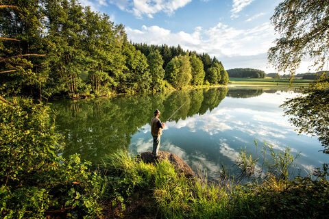 Angeln am Rothenbürger Weiher