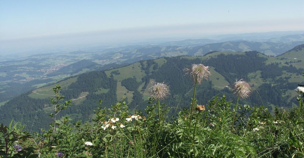 Nagelfluh-Gratwanderung - BERGFEX - Wanderung - Tour Bayern