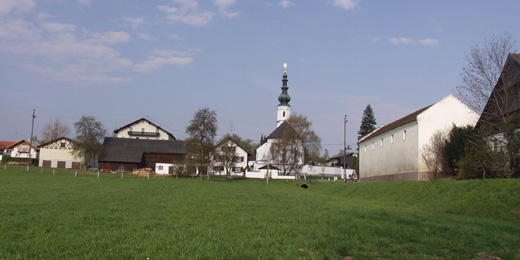 Schildorn