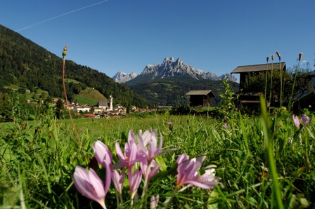 Paesi di Primiero