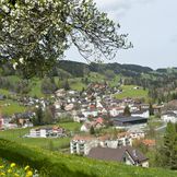 Bühler
