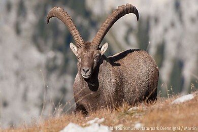 Naturpark Diemtigtal