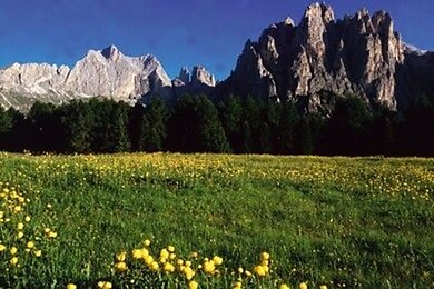 Vigo di Fassa
