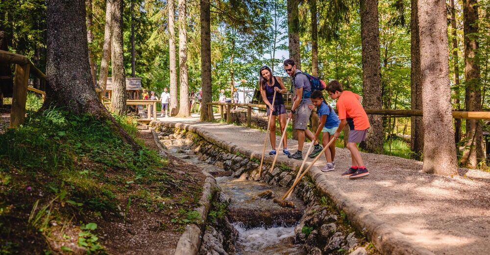 Rund Um Die Mariazeller Bürgeralpe (694 Und 692) - BERGFEX - Wanderung ...