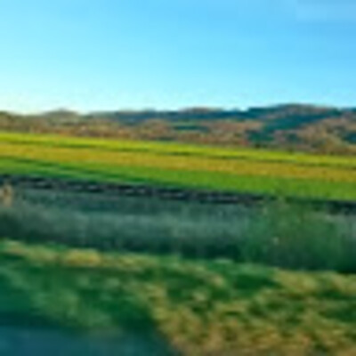 Avatar von Sebastian Pfeffer