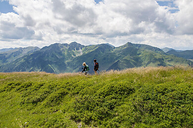 Wildschönau