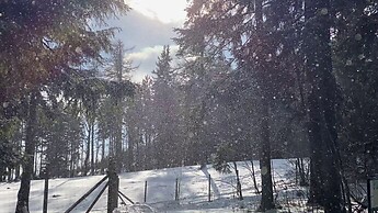 Schneegestöber