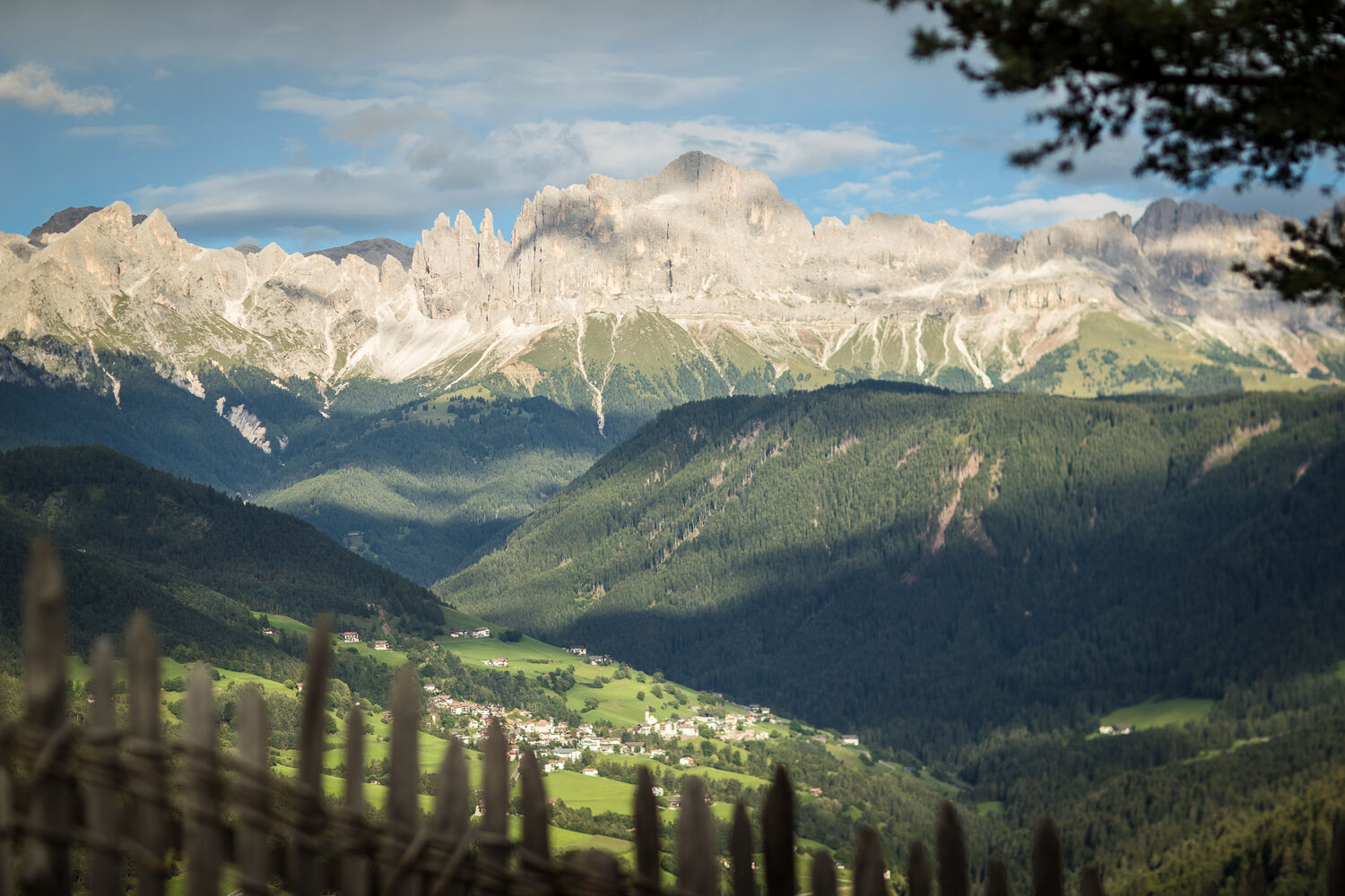 Tiers am Rosengarten