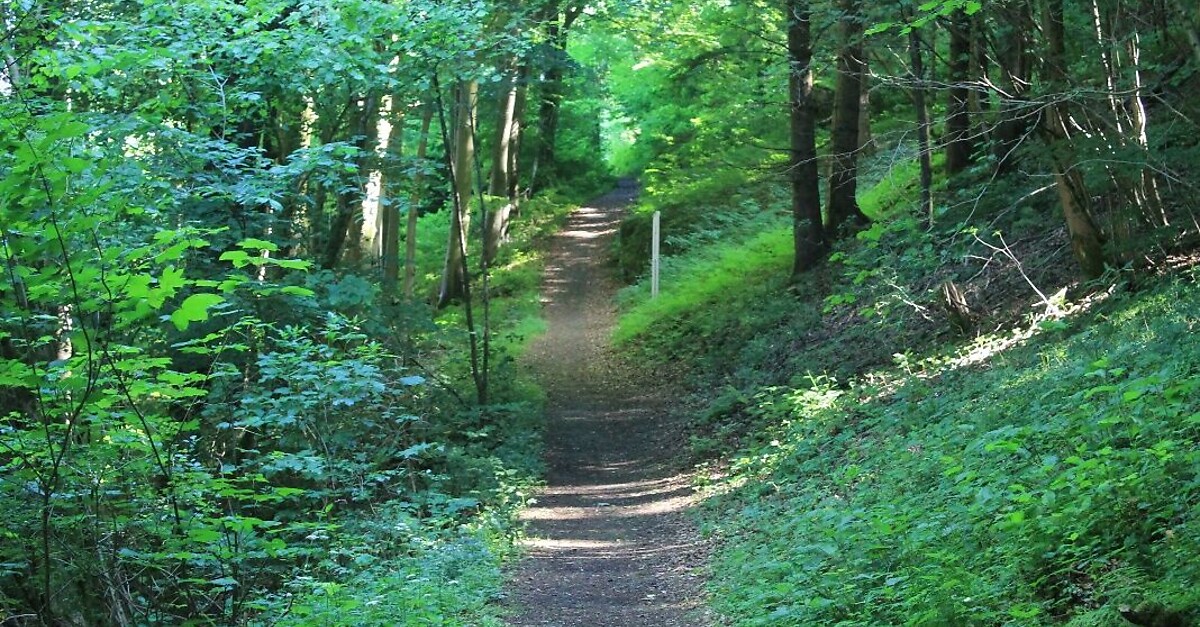 Finnentroper Rundwanderweg Bergfex Wanderung Tour Nordrhein Westfalen