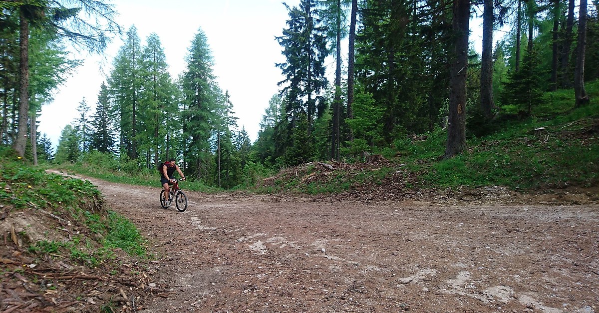 Mittagskogel über Nord Ostgrad BERGFEX Wanderung Tour Kärnten