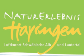 Logo Hayingen