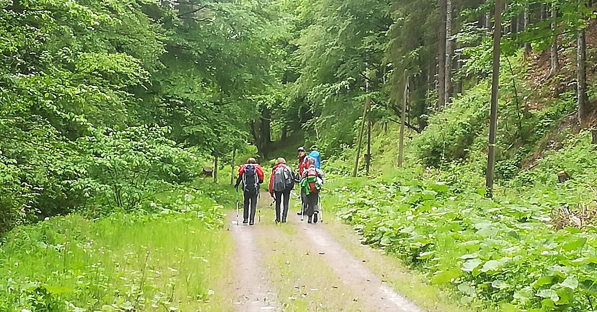 E04 Mariazeller Gründerweg Tragöß Oberort - Trofaiach - BERGFEX ...