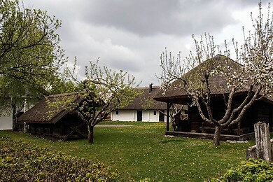 Stinatz