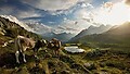 Sommerregion
