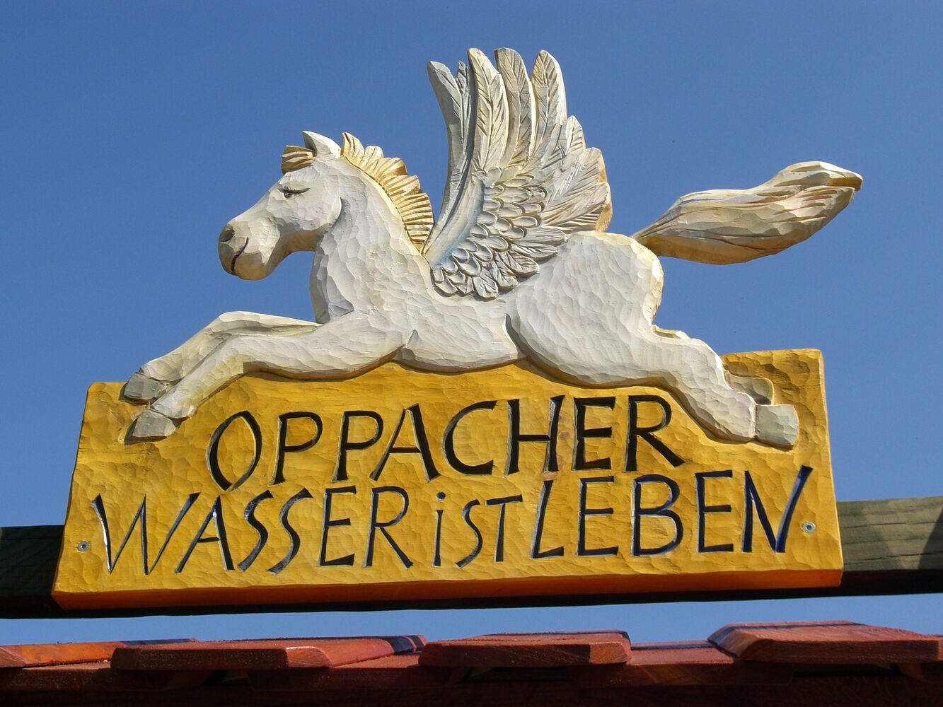 Oppach