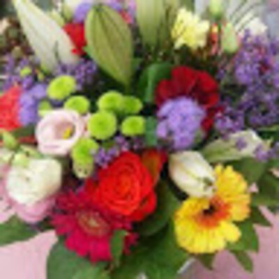 Avatar a Sieglinde Schneeweis