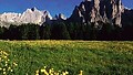 Letný región