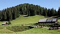 Región de verano