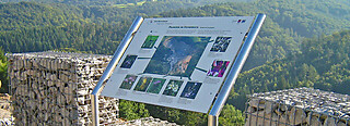 Abtsteinach