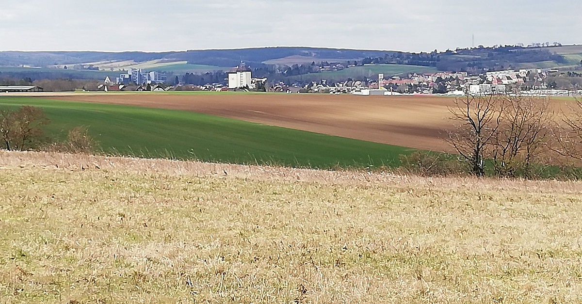 Kaisergraben Reisberg 22 MRZ 2020 1049 BERGFEX Wanderung Tour