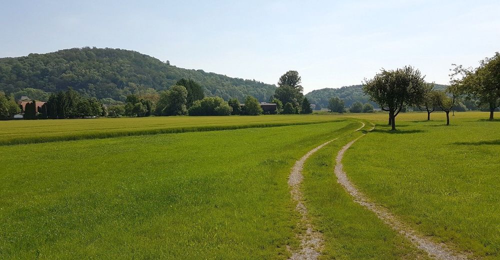 Steyregg Donau Hohen Rundwanderweg Pulgarn Hohenstein Und Zuruck Bergfex Wanderung Tour Oberosterreich