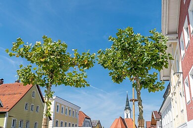 Untergriesbach