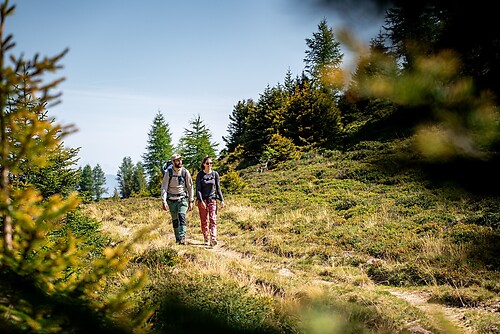 Herbst am Dreibündenstein