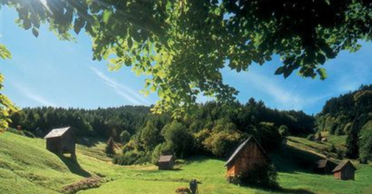 BERGFEX-Sehenswürdigkeiten - Wandern Im Murgtal - Murgtal ...