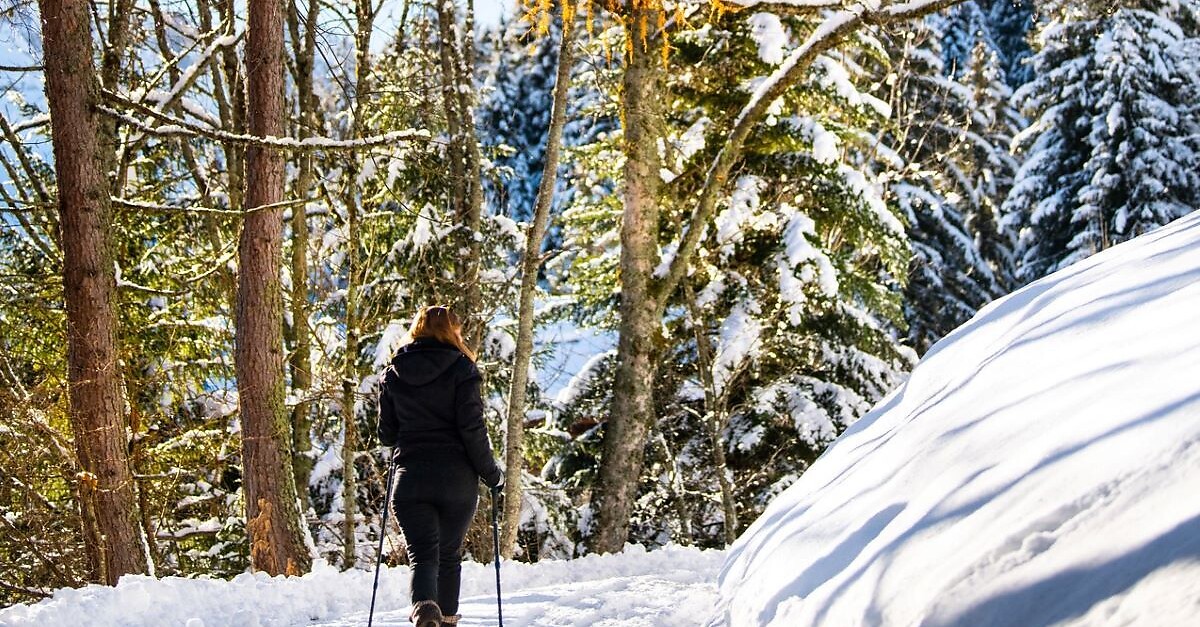 Morgins Champarin BERGFEX Wanderung Tour Wallis