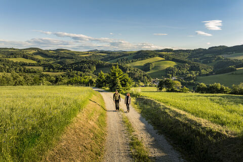 Long-distance hiking on the Rosalia Round Trail