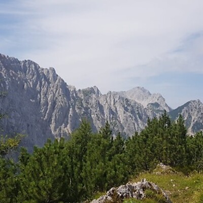 Awatar z Ilse Gottschacher