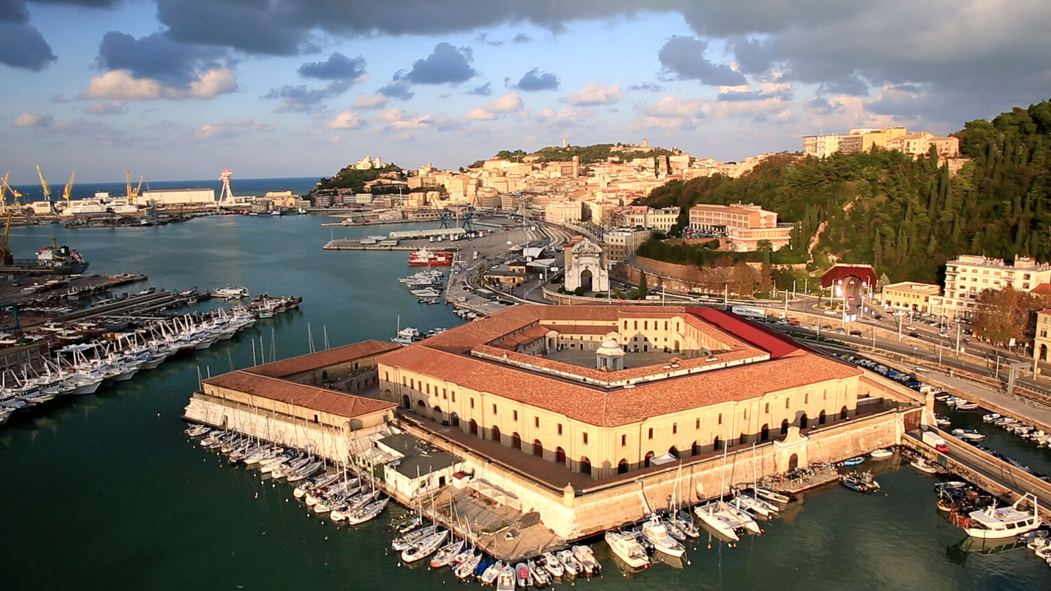 Ancona