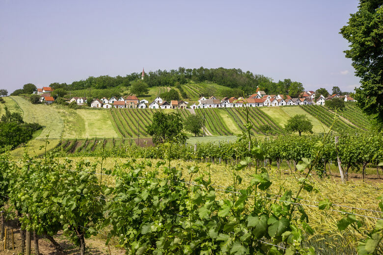Wildendürnbach