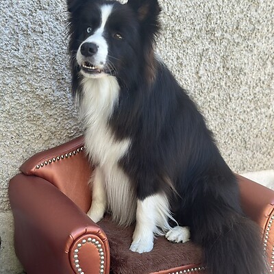 Avatar von Tanja