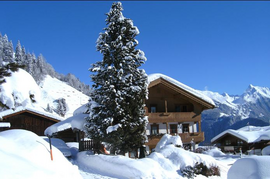 Logotip Innerstein