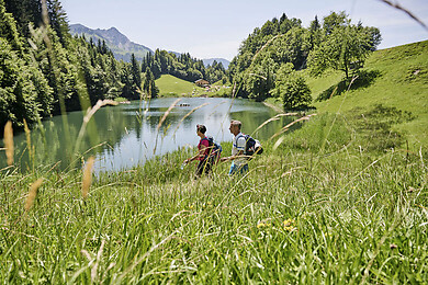 Fontanella - Faschina