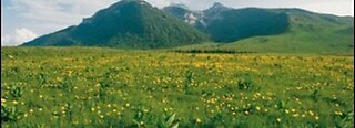 Monte Bondone