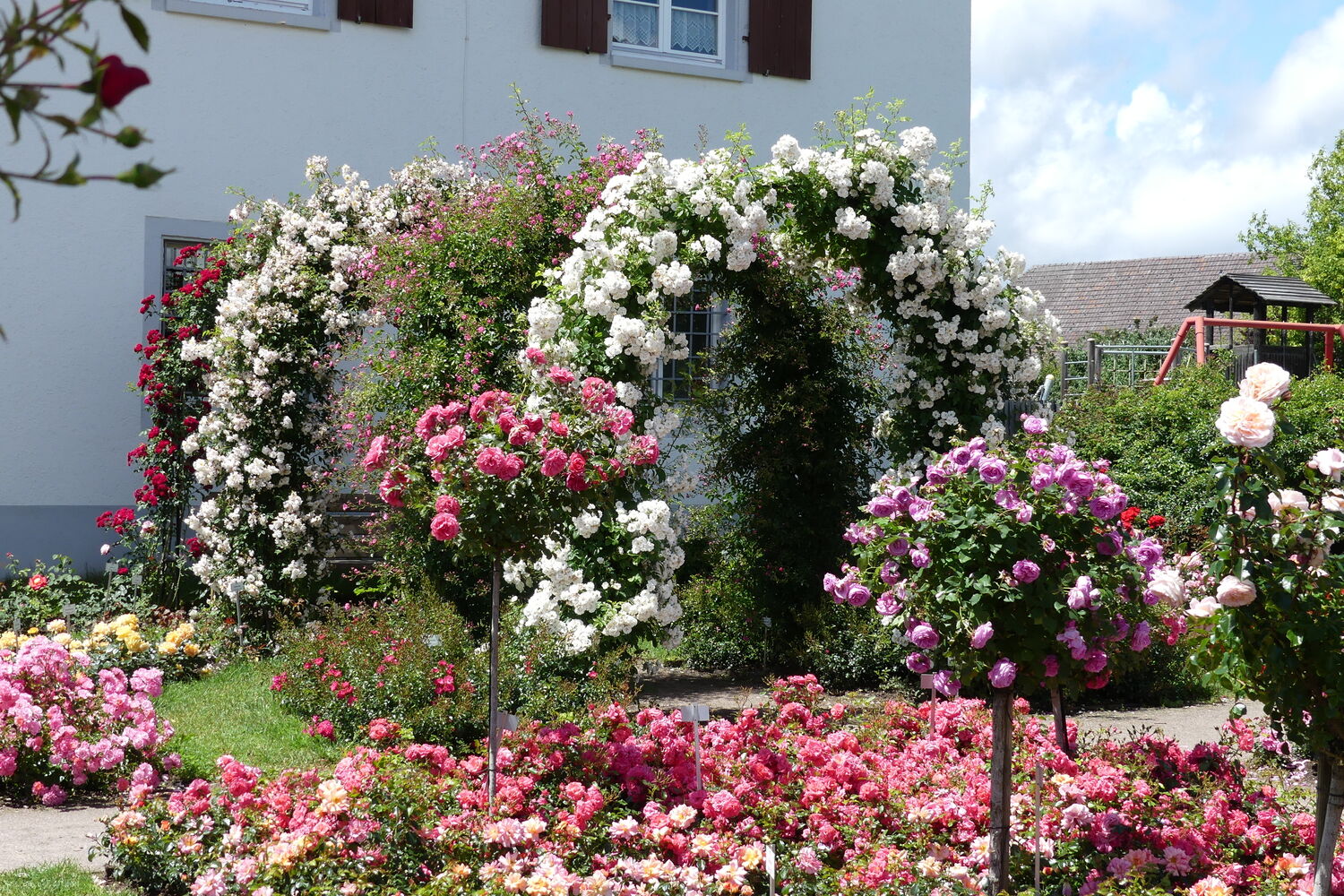Weilheim (Baden)