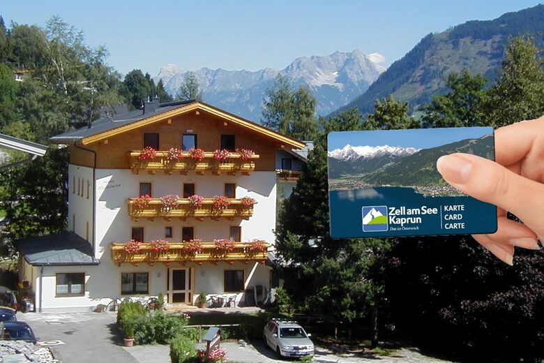 Haus Wilhelmina - Ferienwohnungen