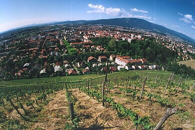 Maribor-Pohorje