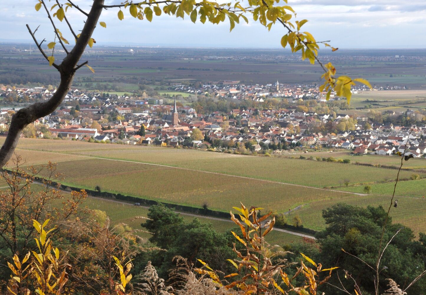 Deidesheim